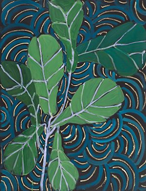Fiddle Leaf Fig