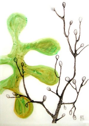 Buds