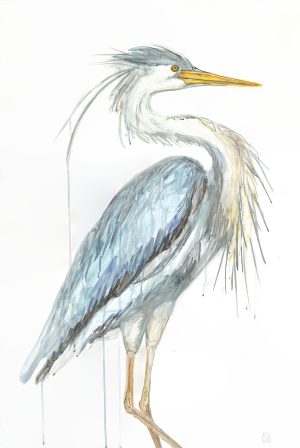 Watercolor Heron, 2022